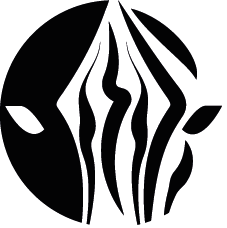Laëtitia Zebra-influence