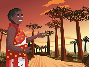 Illustration Rodamu - Madagascar allée des baobabs