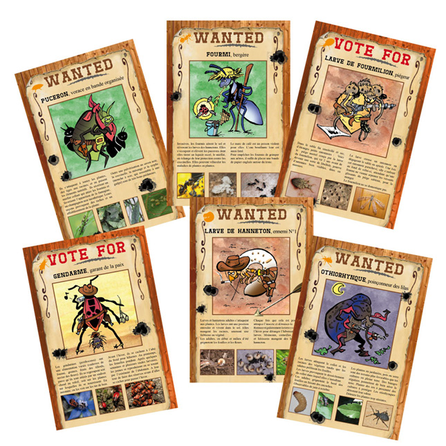insectes2