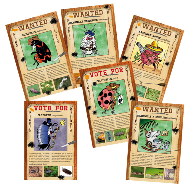 insectes3