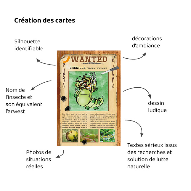 insectes5